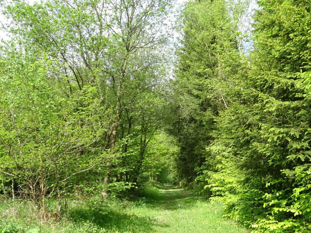 Deine-Eifel-Ferienwohnung Feusdorf Exterior photo